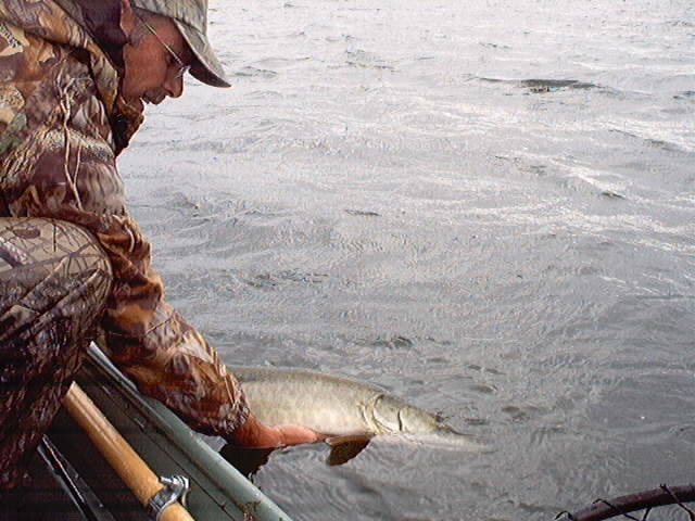 CPR(catch/photo/release)