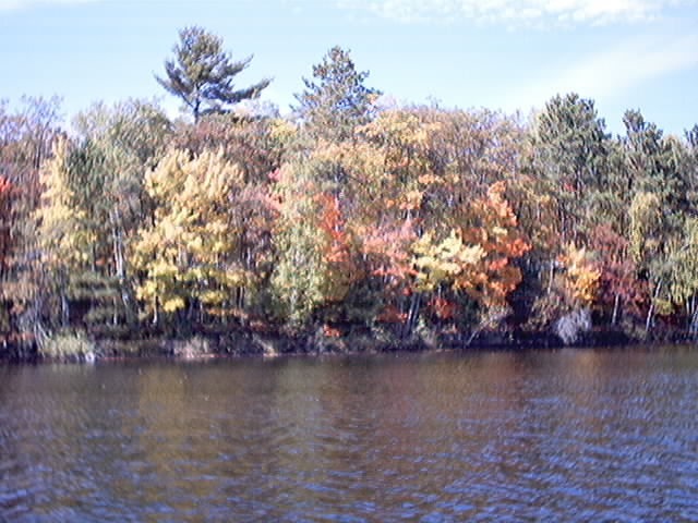 Beautiful fall colors