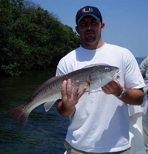 Sarasota Bay 26"