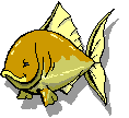 Kimo Da Fish