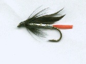 Butcher Fly