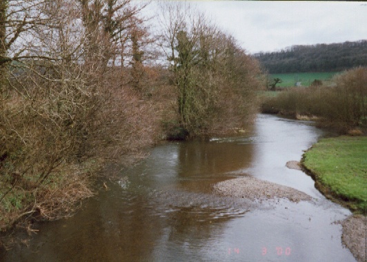 The Taf Below Whitland Church Bridge.