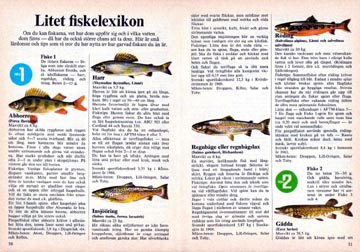 Fishing with ABU/EQUIPMENT/ABU catalogue