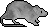no rat