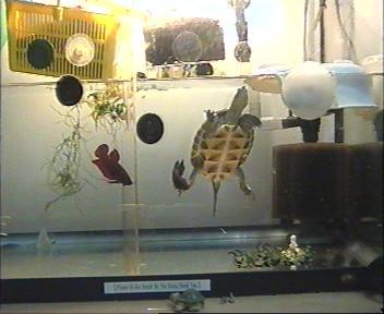 Side view of Filter setup!