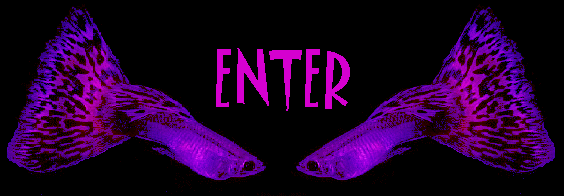 Enter