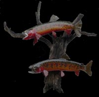 5 inch Greenback Cutthroats