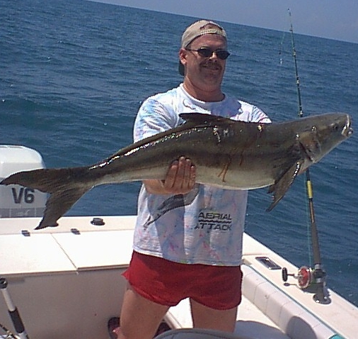 Ling/Cobia