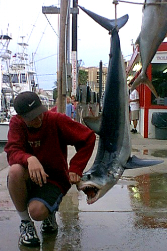 mako