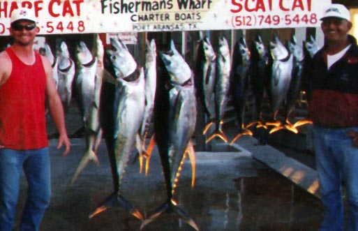 y.tuna