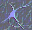 /user/anim_neuron.gif