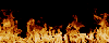 fogo.gif (13616 bytes)