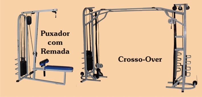 Consultar
