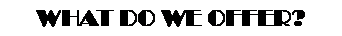 Text Box: WHAT DO WE OFFER?