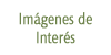 imagenes