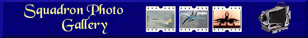 banner for the Photo Gallery page.