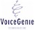 The Voice Web Solutions Company