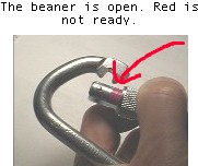 beanopen.jpg (10118 bytes)
