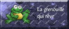 grenouille qui reve banner