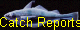  Catch Reports 