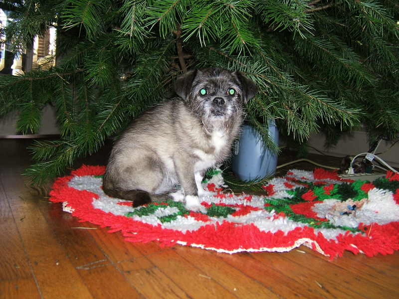 PixieDec_15_2005.jpg