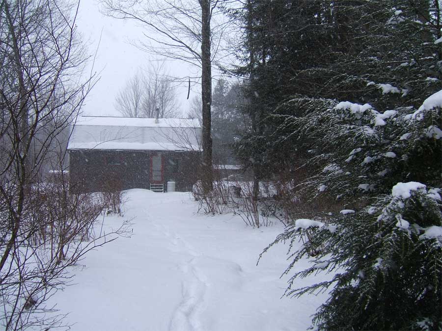 cabinrearfeb19.jpg(25K)