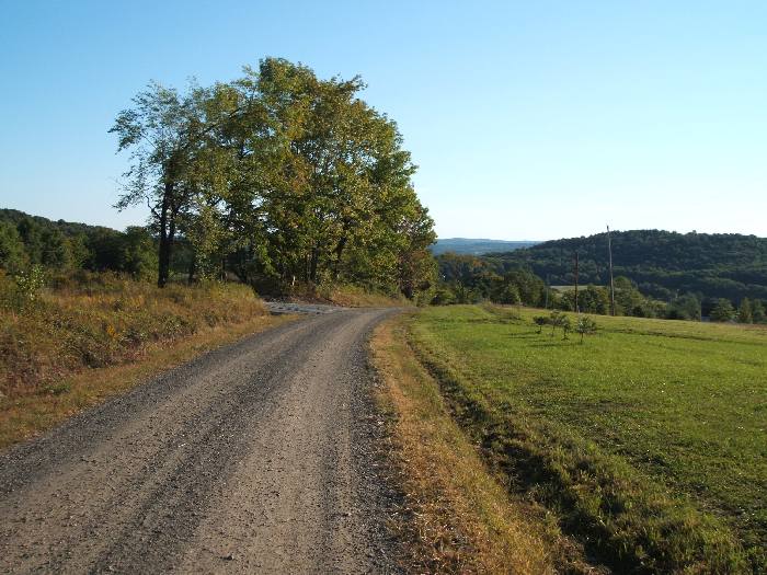 cr14.jpg