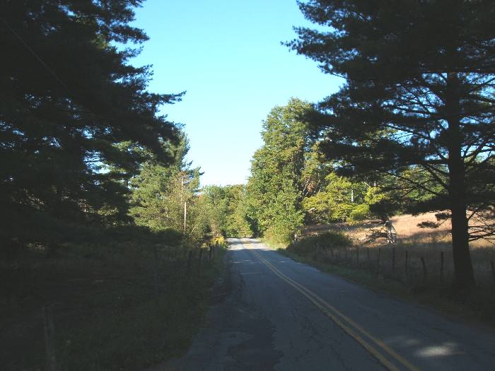 cr31.jpg