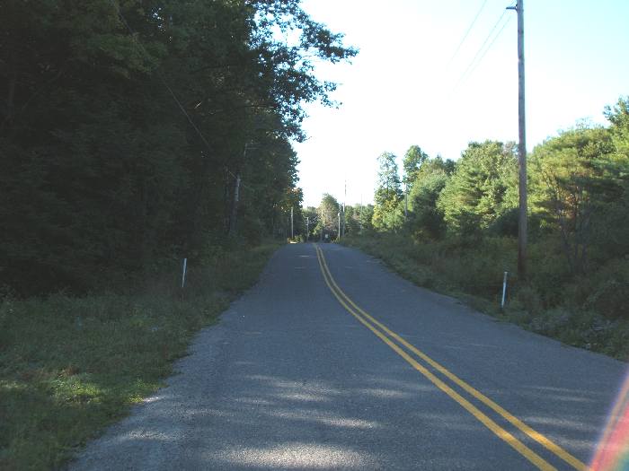 cr41.jpg