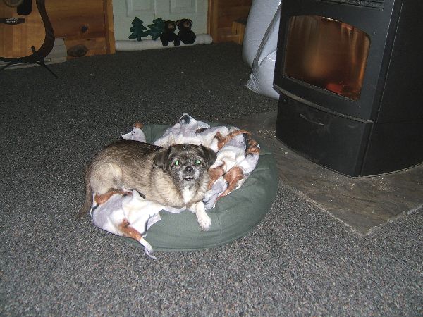 pixiewarm1.jpg