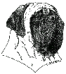 OEM Logo