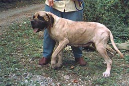 Sally 8/22/01