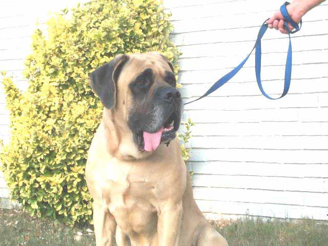Sam on 9/12/02