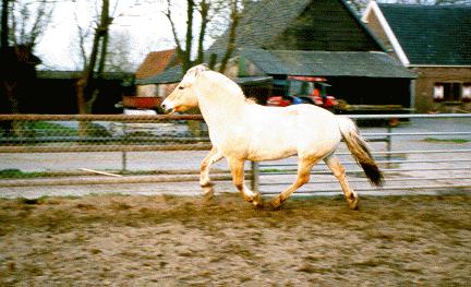 ../Images/ACTIE.jpg