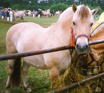 ../Images/KEURING.jpg