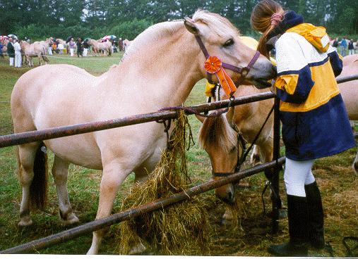 ../Images/KEURING2.jpg