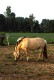 Thumbs/tn_ZELHEM2.jpg