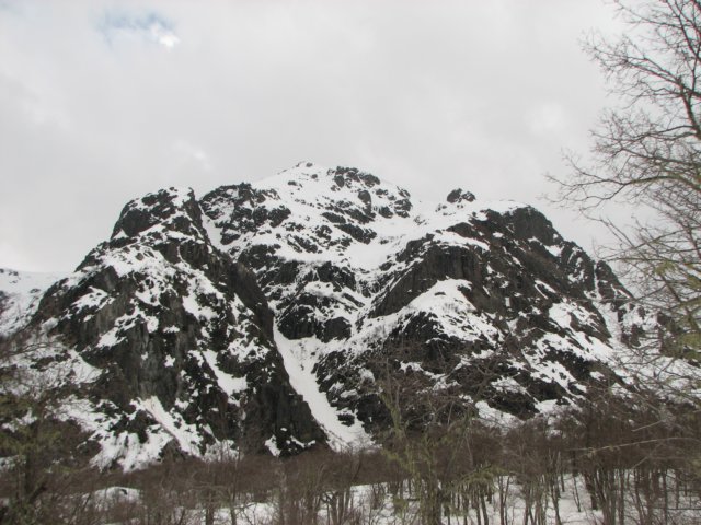 img_5959.jpg