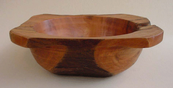 Eucalyptus