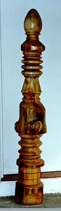 Pinus Silvestris
