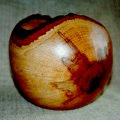 CASUARINA