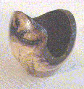 Caquizeiro