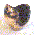 Caquizeiro