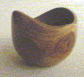 Eucalipto