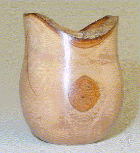 Nespereira