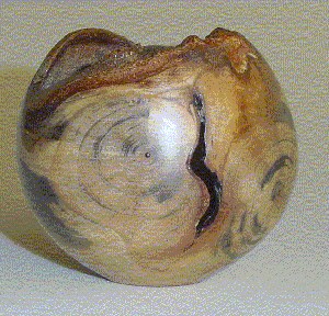 Pau-Cigarra