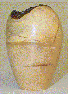 Saboneteira