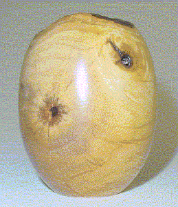Cambara