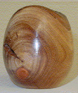 Eucalipt