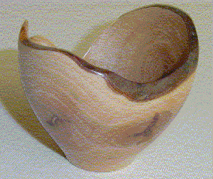 Goiabeira